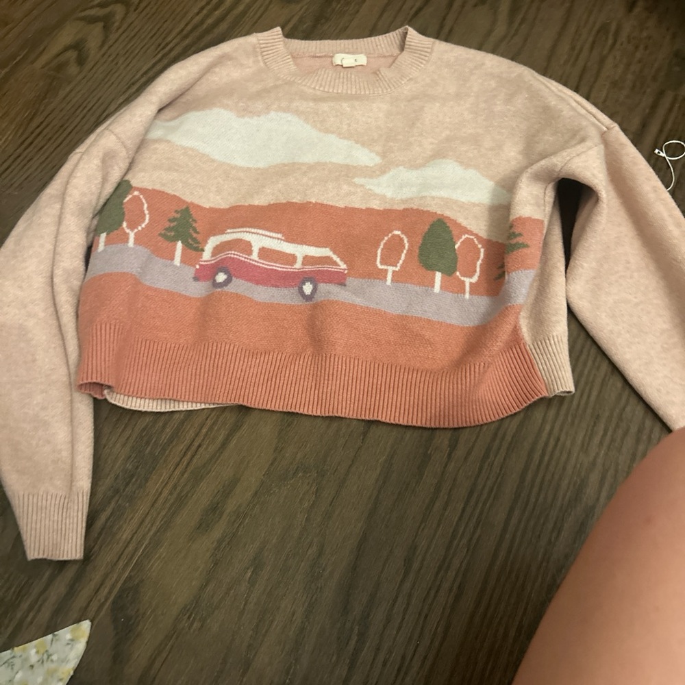 T.J.Maxx Pink Scenic Sweater